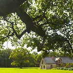 De Loire & * Gennes-Val-de-Loire