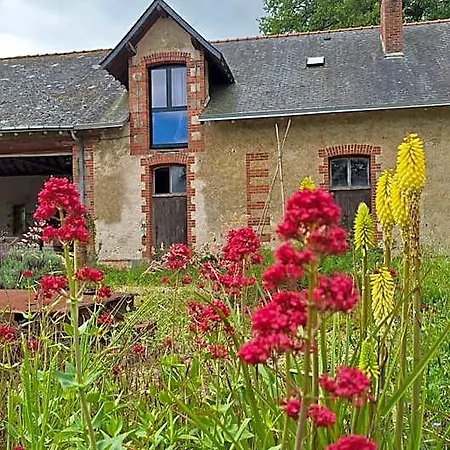 De Loire & Gennes-Val-de-Loire