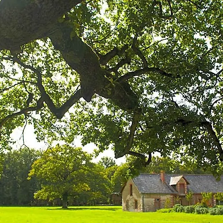 De Loire &