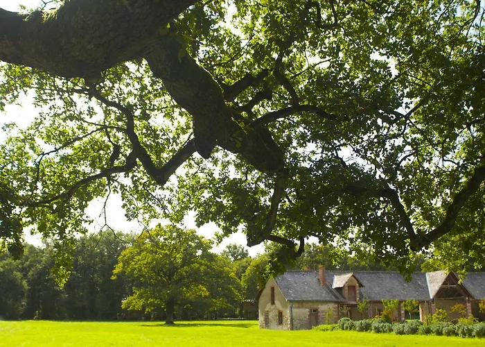 De Loire & * Gennes-Val-de-Loire